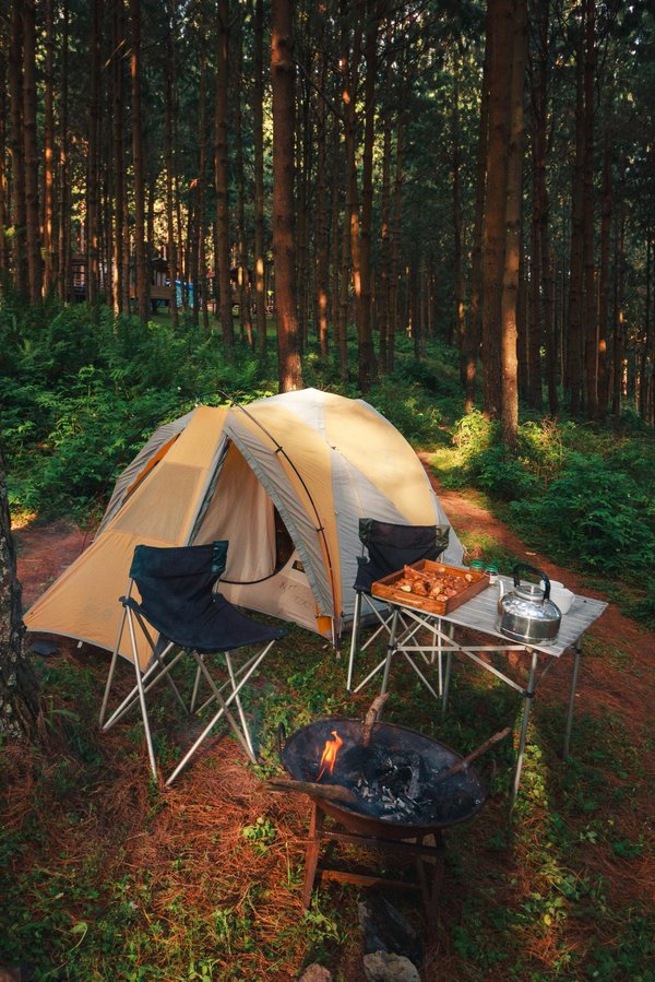 Les campings à ne pas manquer dans le Marais Poitevin